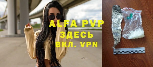 твердый Бикин