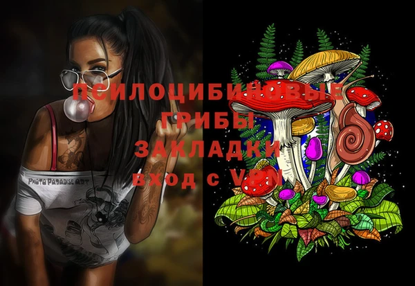 скорость Новодвинск