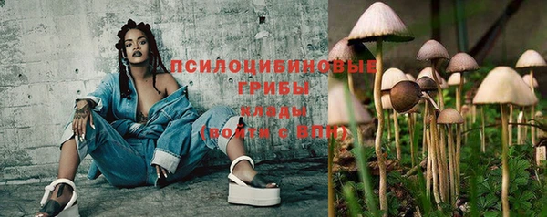 спиды Наволоки