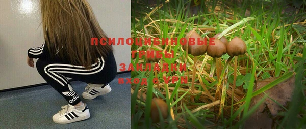 гидра Нефтегорск