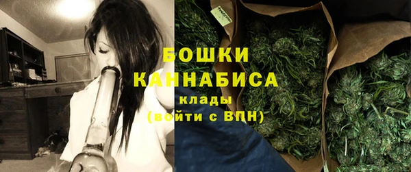 марки lsd Новозыбков