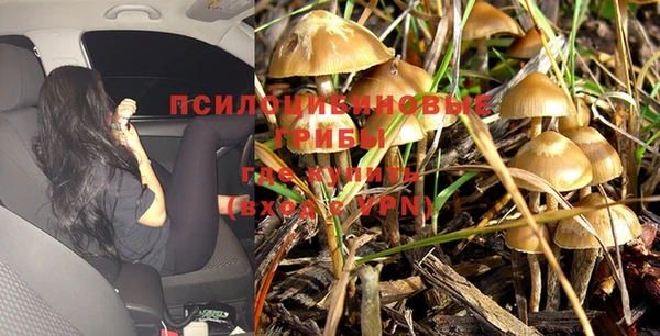 гидра Нефтегорск