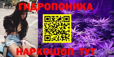 a pvp Заволжье
