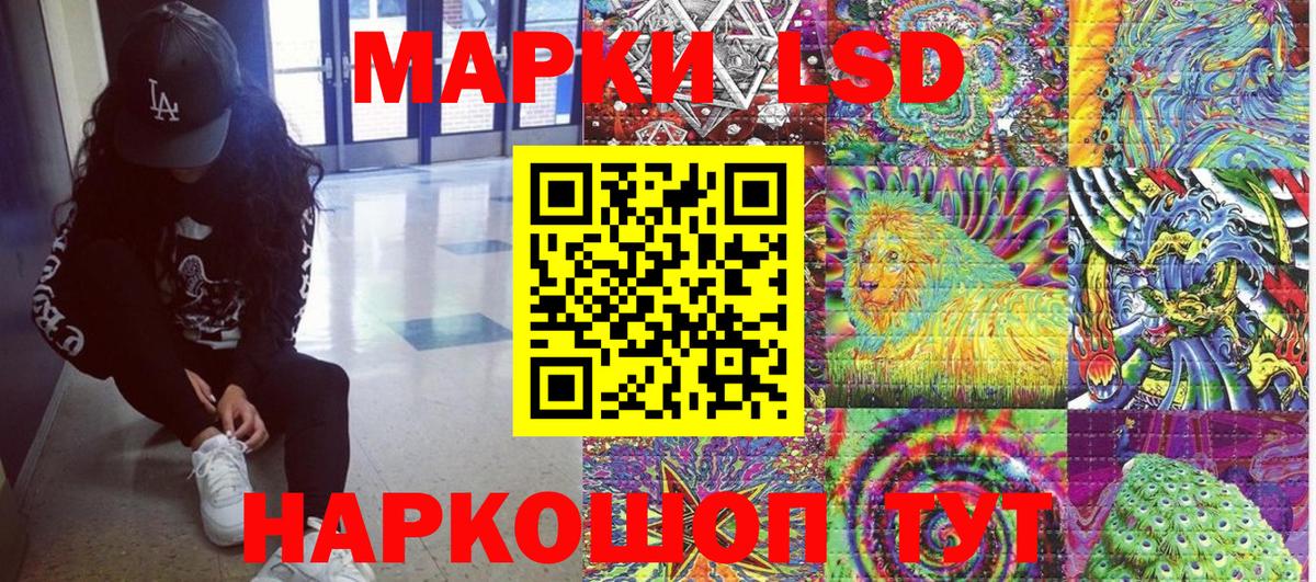 дарнет шоп  Вход с VPN  Нефтекумск  Наркотические марки 1,8мг 
