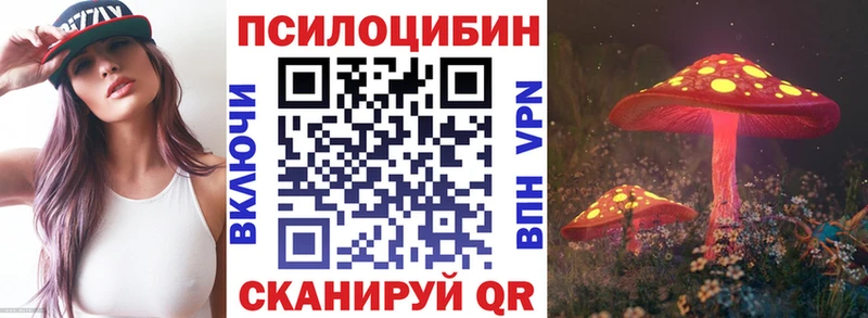 Псилоцибиновые грибы GOLDEN TEACHER  Нефтекумск 