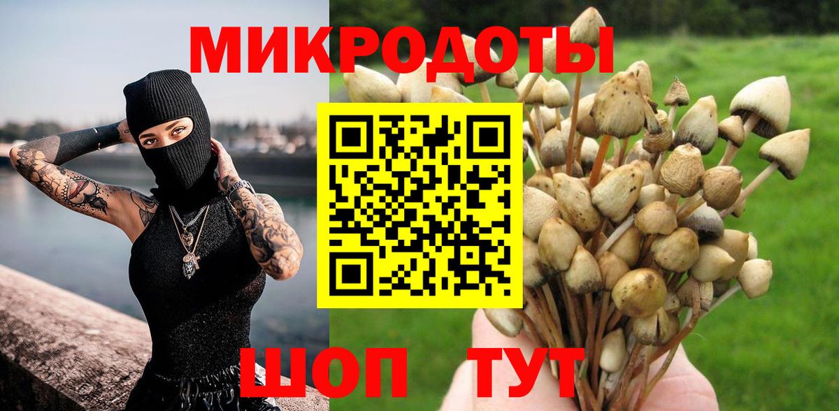 Нефтекумск  Галлюциногенные грибы Psilocybe  Псилоцибиновые грибы GOLDEN TEACHER  Вход с VPN 