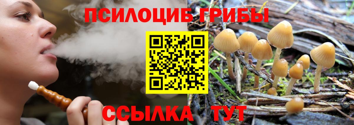 Галлюциногенные грибы GOLDEN TEACHER Нефтекумск